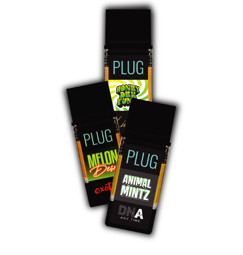 Plug Play